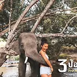 3 Pok Maewang Jinxiang Gold Elephant Park
