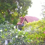 Lemongarden