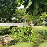 The Sunshine Resort