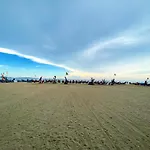 Beach Gallery House