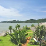 Sea Coco