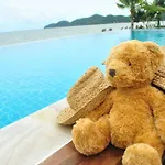 Sea Coco