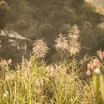 Four Seasons Tented Camp Golden Triangle