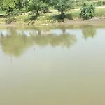 Saeng Tai Amphawa