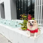 Oakwood Hotel & Residence Bangkok