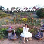 Khao Kho Flora