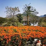 Chez Piera Resort