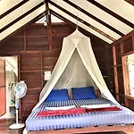 Frog Garden Hut
