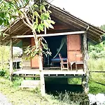 Frog Garden Hut