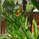 Chanapha Residence