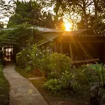 Banana Sunset - Bar & Bungalows