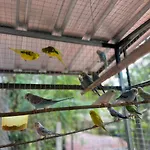 Banana Place Resort