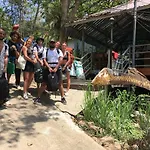 Sea View Bungalow