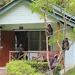 Chill Out Bar And Bungalows