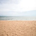 Grand Florida Beachfront