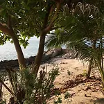 Sea Lulaby