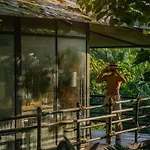 Kachonghills Tented Resort Trang