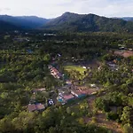 The Chamuang Forest