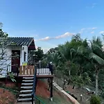 Forest Guesthouse