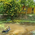 Baandin Resort