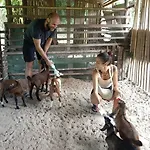 Yaoisland Resort And Farm
