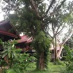 Bamboo House