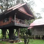 Bamboo House