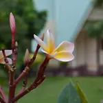 Touch Star Resort - Doi Inthanon