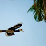 Baan Anattaya Koh Yao Noi