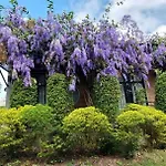 Casa Foresta Nan