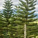 Khao Kho Sky Winds