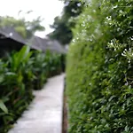 Yoma Hotel, Pai