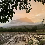 Krathom Doi Luang