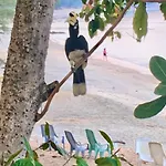Starlight Beach Resort