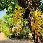 Kanlaya\'S Eyrie, Luxury Homestay