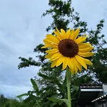 Lala\'S House@Mae On Chiang Mai
