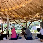 Cape Pakarang Wow Wild Wellness Escapes