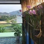 Turtle Nest