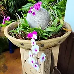 Sabai Resort