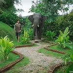 3 Pok Maewang Jinxiang Gold Elephant Park