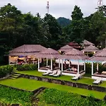 Paradise Cottage