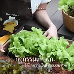 The Spirit Resort Hua Hin