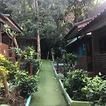 Grand Tree