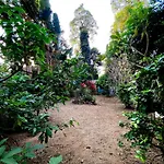Kamrai Resort