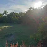 Koh Mook Oyoy Reggaebar Bungalow