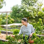 Thann Wellness Destination