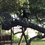 Pp Land Beach Eco Resort