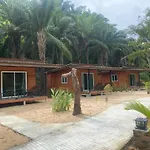 Tree Beach Resort
