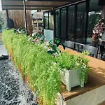 Ban Suan Kratom Cafe And Resort