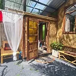 Tee Bungalow In The Jungle